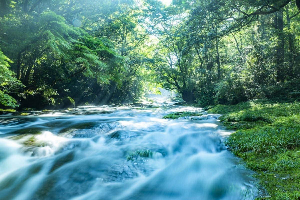 🏞️ 기쿠치 계곡 (키쿠치 케이코쿠) 이미지 7